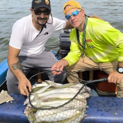 Breve repaso por los ámbitos que entregan buenas respuestas con el pejerrey y asoman entre los preferidos para el pescador.