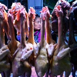  Un vendedor de pollos espera a los clientes en el supermercado rural Minsheng, en Chongqing, suroeste de China. Foto de Hector RETAMAL / AFP | Foto:AFP