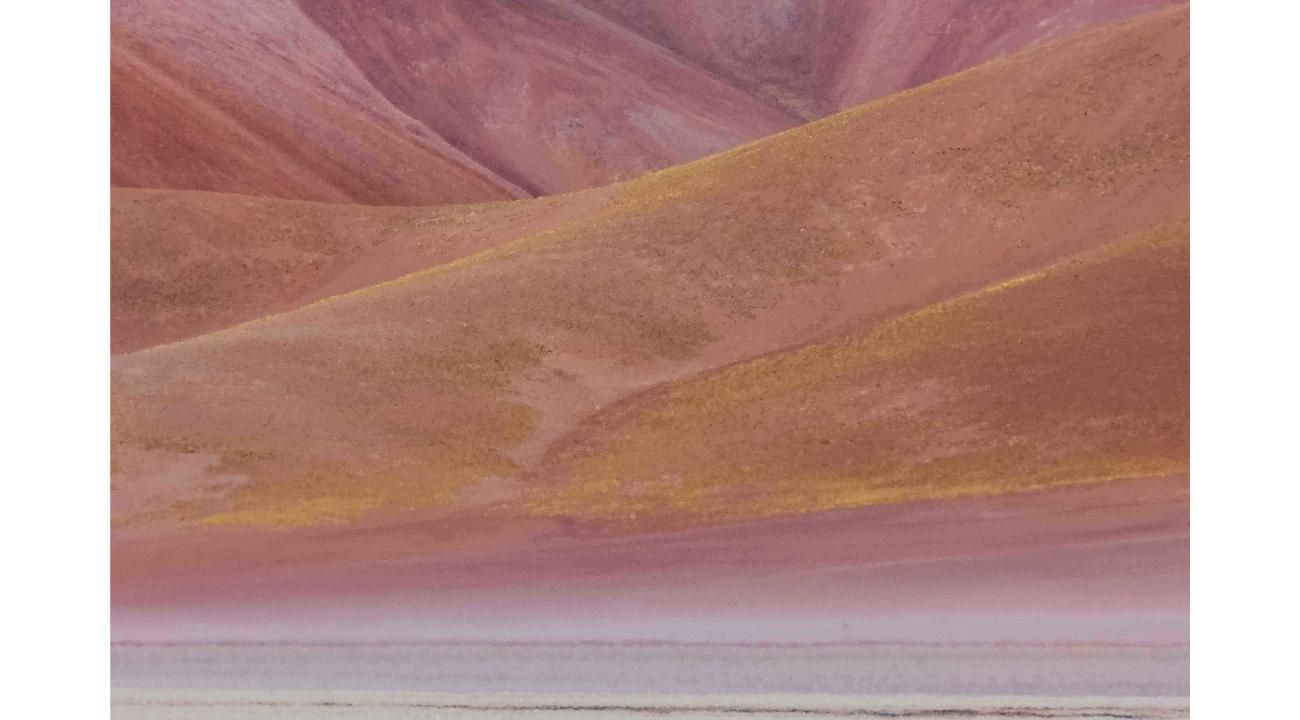 Claudia Ocanto: Una Fotógrafa en la Cima del Arte Internacional.