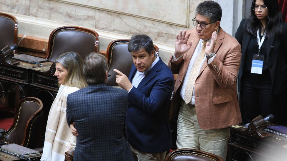 Facundo Manes en el recinto de Diputados 20250306