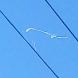 El fenómeno se debe a la acumulación de pequeñas telas de araña que, en contacto con el aire, se solidifican y vuelan con el viento.