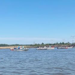 Además de muchas propuestas piscatorias, hubo actividades culturales y gastronómicas que brindaron al pescador la posibilidad de compartir con la familia.