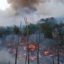 El incendio forestal de noviembre de 2022 afectó más de 8.000 hectáreas.