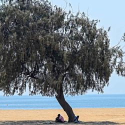 La gente se sienta bajo un árbol en una playa de Mumbai. Foto de Indranil MUKHERJEE / AFP | Foto:AFP