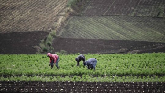 El Gobierno creó un programa para víctimas de trata, pero no tiene fondos disponibles para operar