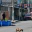 Crime fears offer opening to Latin American conservative leaders