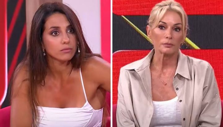 Revelaron un duro cruce entre Yanina Latorre y Cinthia Fernández en un chat de las angelitas de LAM: "No entendés nada"