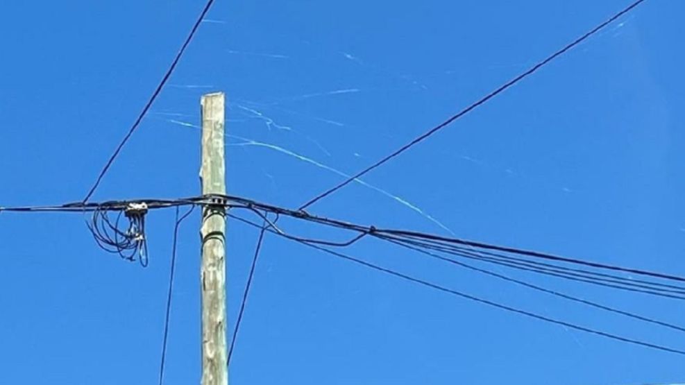 0703_baba del diablo