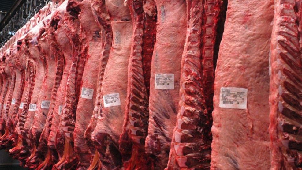 Aranceles de Trump: impacto en el mercado de la carne y oportunidades para Argentina