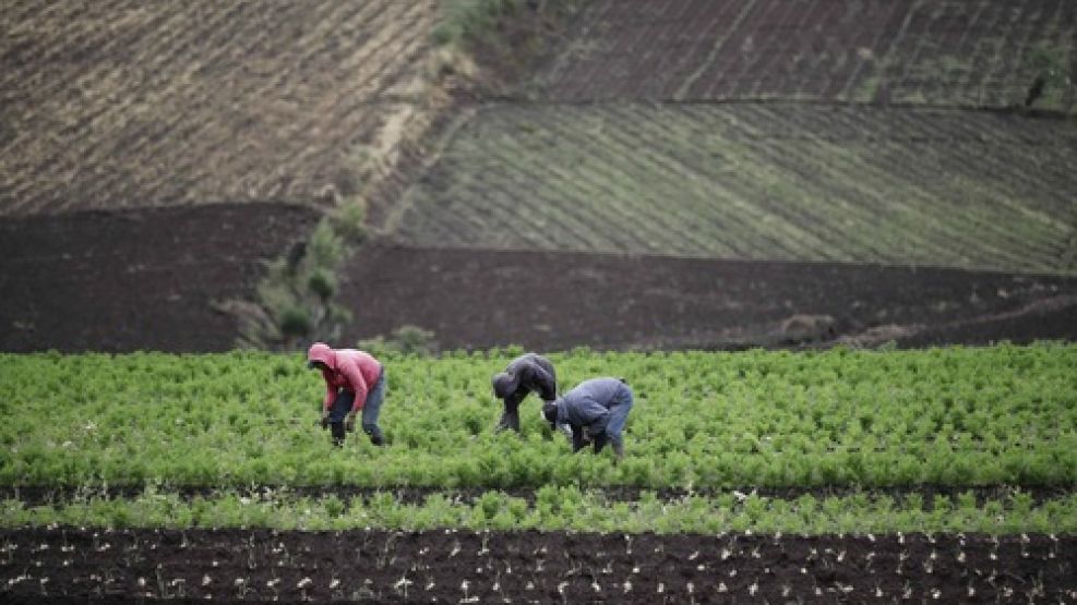 Productor agrícola fue condenado por trata de personas.