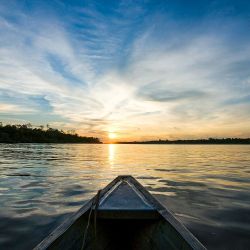 Desde la peruana Iquitos, la capital de Loreto, es posible embarcarse en un viaje de ensueño por la Amazonía en crucero o en lodges.
