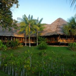 Desde la peruana Iquitos, la capital de Loreto, es posible embarcarse en un viaje de ensueño por la Amazonía en crucero o en lodges.