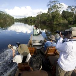 Desde la peruana Iquitos, la capital de Loreto, es posible embarcarse en un viaje de ensueño por la Amazonía en crucero o en lodges.