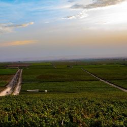 Playas, desierto y cultura en Ica, un destino de Perú con mucho por descubrir.