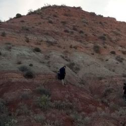 Los restos fósiles fueron encontrados a unos 30 kilómetros al suroeste de General Roca, Río Negro