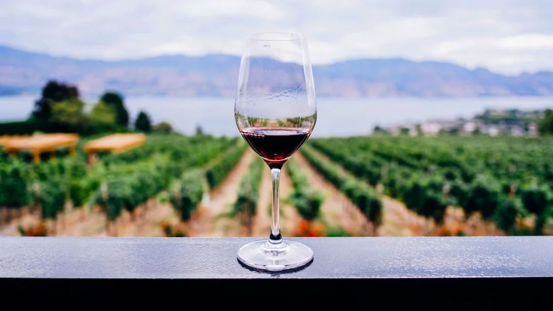 A glass of wine at a vineyard in Mendoza.