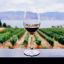 Argentina’s annual wine exports near US$1-billion mark