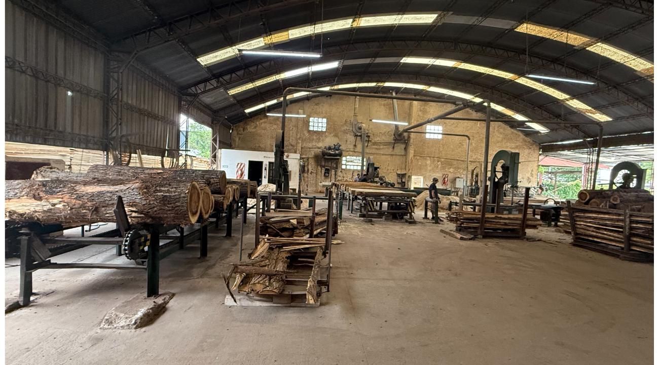 Maderas del Delta SRL: Tradición familiar y compromiso con la calidad