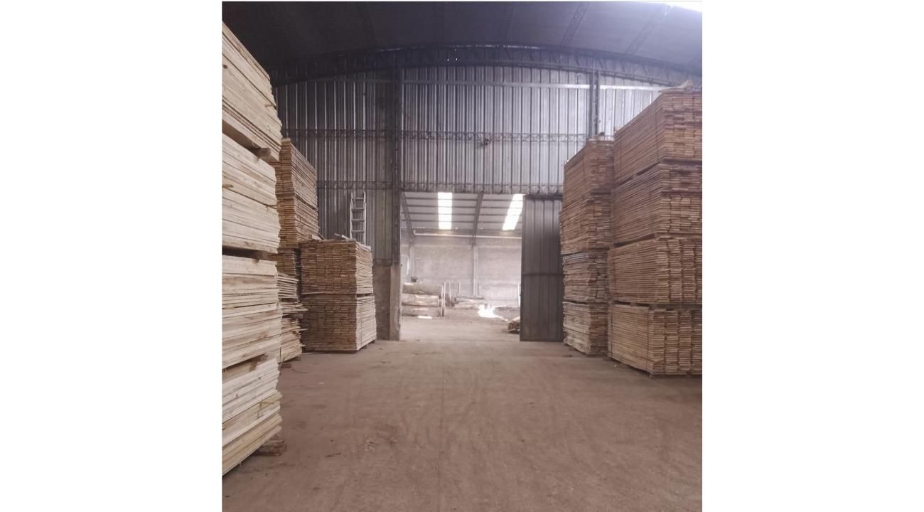 Maderas del Delta SRL: Tradición familiar y compromiso con la calidad