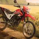Honda XR190L