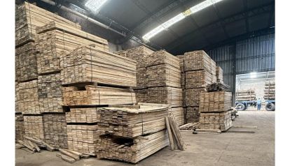Maderas del Delta SRL: Tradición familiar y compromiso con la calidad