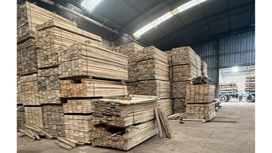 Maderas del Delta SRL: Tradición familiar y compromiso con la calidad