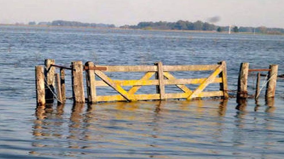 Campo inundado