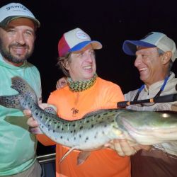 La abundancia de surubí genera grandes expectativas a pocos días de la gran fiesta de la pesca en el litoral.