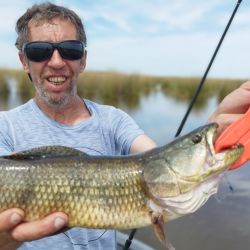Tras algunos años discretos, esta temporada volvió con todo la pesca de tarariras, la vedette de este ámbito. 