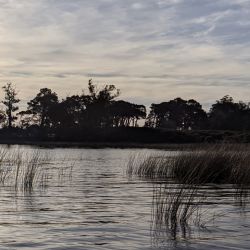 Tras algunos años discretos, esta temporada volvió con todo la pesca de tarariras, la vedette de este ámbito. 