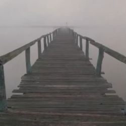Tras algunos años discretos, esta temporada volvió con todo la pesca de tarariras, la vedette de este ámbito. 