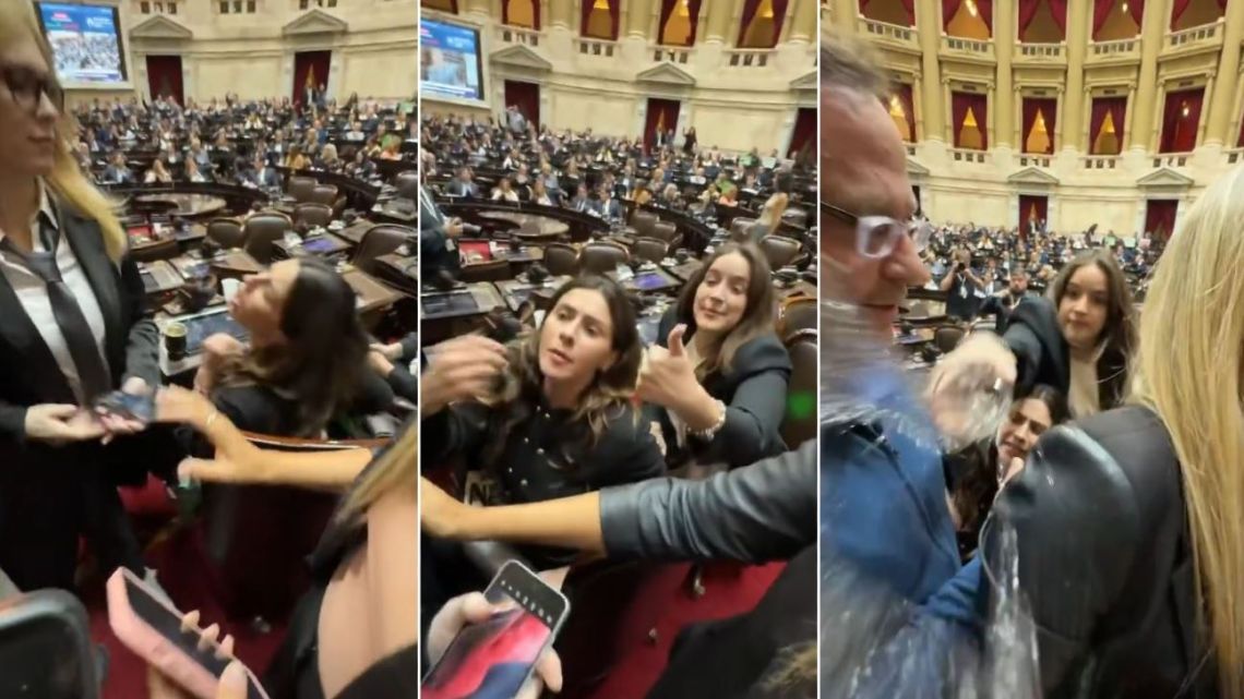 Escándalo en Diputados: el video de Rocío Belén Bonacci tirándole un ...