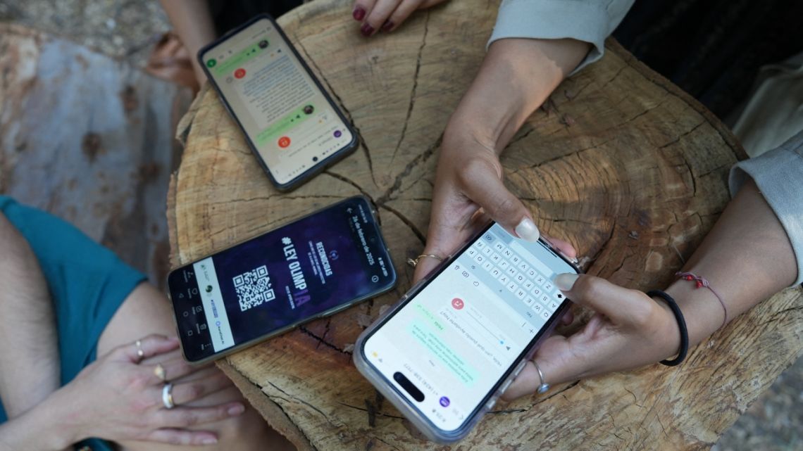 Members of the Digital Defenders Network of the Ley Olimpia movement show how the platform works during an interview with AFP