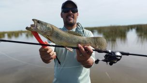 1203_pesca