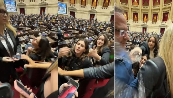 Escándalo en Diputados: el video de Rocío Belén Bonacci tirándole un vaso de agua a Lilia Lemoine y María Celeste Ponce