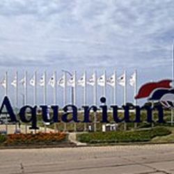 El anuncio del cierre del Aquarium generó preocupación acerca del destino de sus animales.
