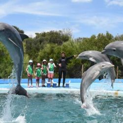 El domingo 16 se llevará a cabo una protesta en defensa de los animales del Aquarium.