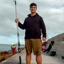 Se trata de una tortuga Cabezona o como es su nombre científico, Caretta Caretta. Suelen medir entre 40 y 90 centímetros de longitud y pesar entre 15 a 80 kilos.