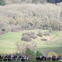 Jinetes y sus caballos compiten en el Cross Country Chase, la cuarta carrera del segundo día del Festival de Cheltenham en el hipódromo de Cheltenham, en Cheltenham, oeste de Inglaterra. | Foto:JUSTIN TALLIS / AFP