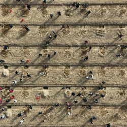 Vista aérea tomada con un dron de voluntarios participando en un evento de plantación de árboles, en la ciudad de Binzhou, en la provincia de Shandong, en el este de China. | Foto:Xinhua/Chu Baorui