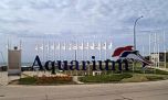 Mar del Plata: piden que los animales del Aquarium sean trasladados a santuarios