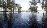 Importante crecida de distintas lagunas por las lluvias