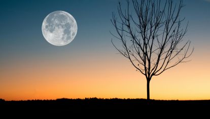 Desde el domingo hasta el miércoles se verá el satélite natural diferente que, en el Hemisferio Norte se conoce como Luna de flores.