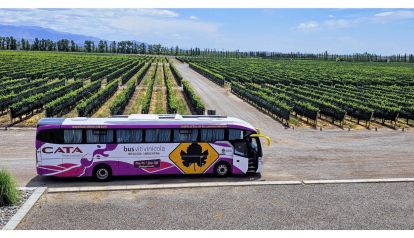 Las mejores experiencias en Mendoza, al mejor precio con Bus Vitivinícola