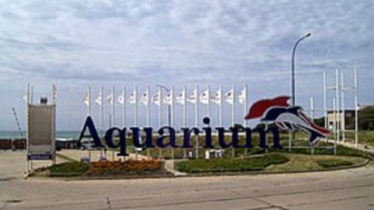 Mar del Plata: piden que los animales del Aquarium sean trasladados a santuarios