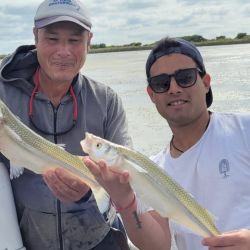 Los peces están comiendo bastante bien, pero no se regalan, hay que pescarlos. Para dar con ellos empleamos boyas pequeñas y sutiles del tipo chupetonas o cometas de no más de 12 centímetros.