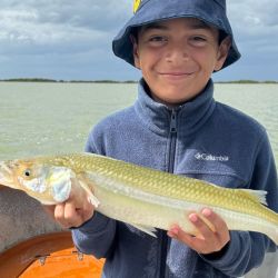 Los peces están comiendo bastante bien, pero no se regalan, hay que pescarlos. Para dar con ellos empleamos boyas pequeñas y sutiles del tipo chupetonas o cometas de no más de 12 centímetros.
