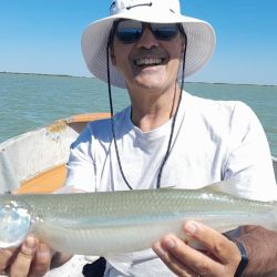 Los peces están comiendo bastante bien, pero no se regalan, hay que pescarlos. Para dar con ellos empleamos boyas pequeñas y sutiles del tipo chupetonas o cometas de no más de 12 centímetros.