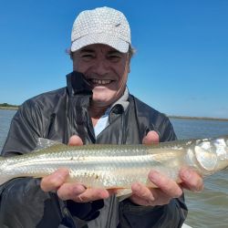 Los peces están comiendo bastante bien, pero no se regalan, hay que pescarlos. Para dar con ellos empleamos boyas pequeñas y sutiles del tipo chupetonas o cometas de no más de 12 centímetros.
