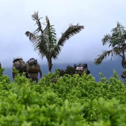 Soldados se alejan entre plantaciones de coca después de que las comunidades locales los obligaran a abandonar su base militar cerca de El Plateado, departamento del Cauca, Colombia. | Foto:JOAQUIN SARMIENTO / AFP